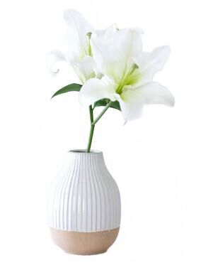 NEW SHIRALEAH decorative loma vase with terrecotta base in beige